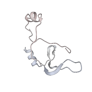 43327_8vkq_PG_v1-0
CW Flagellar Switch Complex - FliF, FliG, FliM, and FliN forming the C-ring from Salmonella