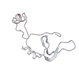 43327_8vkq_P_v1-0
CW Flagellar Switch Complex - FliF, FliG, FliM, and FliN forming the C-ring from Salmonella