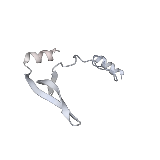 43327_8vkq_QA_v1-0
CW Flagellar Switch Complex - FliF, FliG, FliM, and FliN forming the C-ring from Salmonella