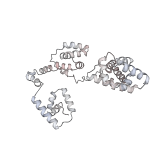 43327_8vkq_QB_v1-0
CW Flagellar Switch Complex - FliF, FliG, FliM, and FliN forming the C-ring from Salmonella