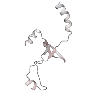 43327_8vkq_QC_v1-0
CW Flagellar Switch Complex - FliF, FliG, FliM, and FliN forming the C-ring from Salmonella