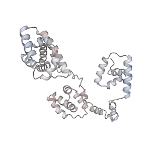 43327_8vkq_QE_v1-0
CW Flagellar Switch Complex - FliF, FliG, FliM, and FliN forming the C-ring from Salmonella