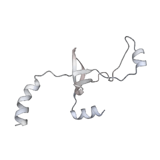 43327_8vkq_QF_v1-0
CW Flagellar Switch Complex - FliF, FliG, FliM, and FliN forming the C-ring from Salmonella