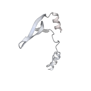 43327_8vkq_QG_v1-0
CW Flagellar Switch Complex - FliF, FliG, FliM, and FliN forming the C-ring from Salmonella