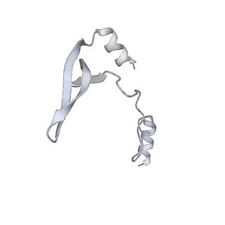 43327_8vkq_Q_v1-0
CW Flagellar Switch Complex - FliF, FliG, FliM, and FliN forming the C-ring from Salmonella