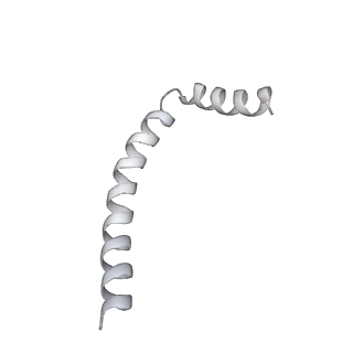 43327_8vkq_RA_v1-0
CW Flagellar Switch Complex - FliF, FliG, FliM, and FliN forming the C-ring from Salmonella