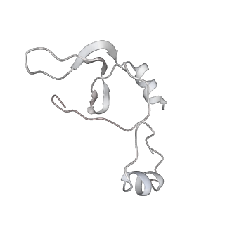 43327_8vkq_RC_v1-0
CW Flagellar Switch Complex - FliF, FliG, FliM, and FliN forming the C-ring from Salmonella