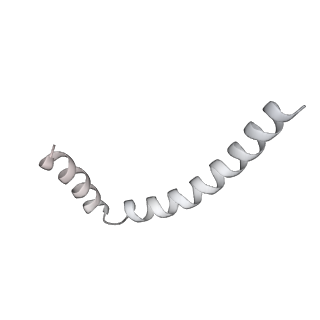 43327_8vkq_RD_v1-0
CW Flagellar Switch Complex - FliF, FliG, FliM, and FliN forming the C-ring from Salmonella