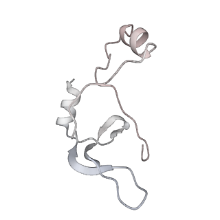 43327_8vkq_RF_v1-0
CW Flagellar Switch Complex - FliF, FliG, FliM, and FliN forming the C-ring from Salmonella