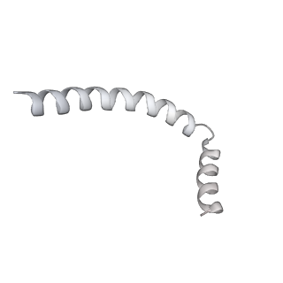 43327_8vkq_RG_v1-0
CW Flagellar Switch Complex - FliF, FliG, FliM, and FliN forming the C-ring from Salmonella