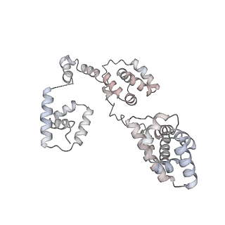 43327_8vkq_SA_v1-0
CW Flagellar Switch Complex - FliF, FliG, FliM, and FliN forming the C-ring from Salmonella