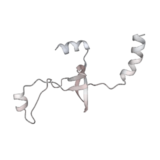 43327_8vkq_SB_v1-0
CW Flagellar Switch Complex - FliF, FliG, FliM, and FliN forming the C-ring from Salmonella