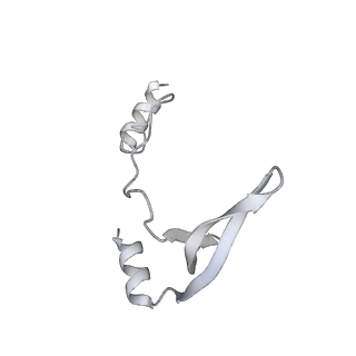 43327_8vkq_SC_v1-0
CW Flagellar Switch Complex - FliF, FliG, FliM, and FliN forming the C-ring from Salmonella