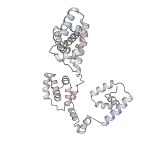 43327_8vkq_SD_v1-0
CW Flagellar Switch Complex - FliF, FliG, FliM, and FliN forming the C-ring from Salmonella