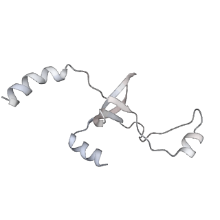 43327_8vkq_SE_v1-0
CW Flagellar Switch Complex - FliF, FliG, FliM, and FliN forming the C-ring from Salmonella