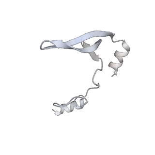 43327_8vkq_SF_v1-0
CW Flagellar Switch Complex - FliF, FliG, FliM, and FliN forming the C-ring from Salmonella