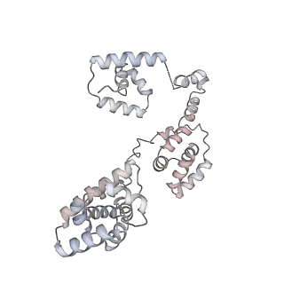 43327_8vkq_SG_v1-0
CW Flagellar Switch Complex - FliF, FliG, FliM, and FliN forming the C-ring from Salmonella