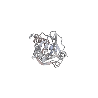 43327_8vkq_TA_v1-0
CW Flagellar Switch Complex - FliF, FliG, FliM, and FliN forming the C-ring from Salmonella