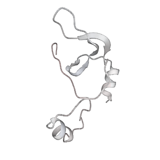 43327_8vkq_TB_v1-0
CW Flagellar Switch Complex - FliF, FliG, FliM, and FliN forming the C-ring from Salmonella