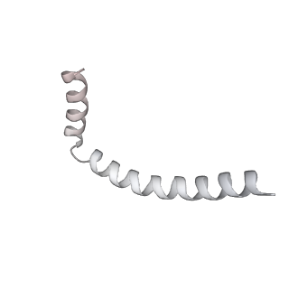 43327_8vkq_TC_v1-0
CW Flagellar Switch Complex - FliF, FliG, FliM, and FliN forming the C-ring from Salmonella