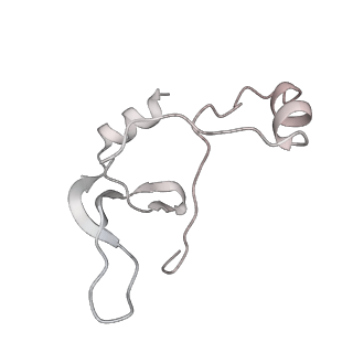 43327_8vkq_TE_v1-0
CW Flagellar Switch Complex - FliF, FliG, FliM, and FliN forming the C-ring from Salmonella