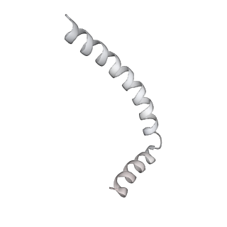 43327_8vkq_TF_v1-0
CW Flagellar Switch Complex - FliF, FliG, FliM, and FliN forming the C-ring from Salmonella