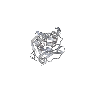 43327_8vkq_TG_v1-0
CW Flagellar Switch Complex - FliF, FliG, FliM, and FliN forming the C-ring from Salmonella