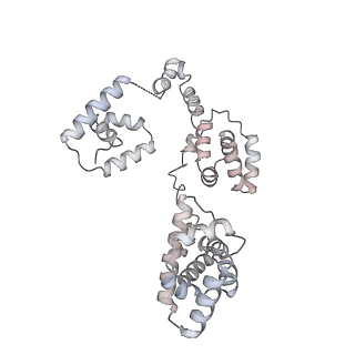 43327_8vkq_T_v1-0
CW Flagellar Switch Complex - FliF, FliG, FliM, and FliN forming the C-ring from Salmonella