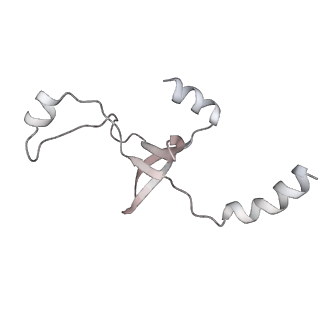 43327_8vkq_UA_v1-0
CW Flagellar Switch Complex - FliF, FliG, FliM, and FliN forming the C-ring from Salmonella