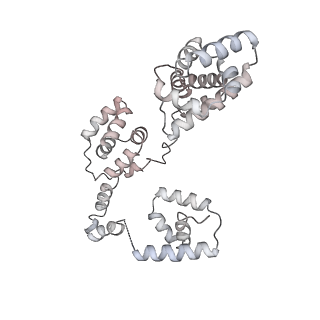 43327_8vkq_UC_v1-0
CW Flagellar Switch Complex - FliF, FliG, FliM, and FliN forming the C-ring from Salmonella