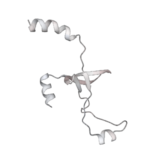 43327_8vkq_UD_v1-0
CW Flagellar Switch Complex - FliF, FliG, FliM, and FliN forming the C-ring from Salmonella