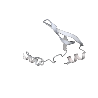 43327_8vkq_UE_v1-0
CW Flagellar Switch Complex - FliF, FliG, FliM, and FliN forming the C-ring from Salmonella