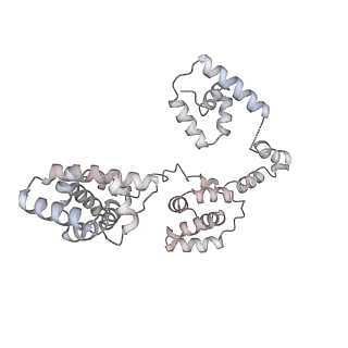 43327_8vkq_UF_v1-0
CW Flagellar Switch Complex - FliF, FliG, FliM, and FliN forming the C-ring from Salmonella