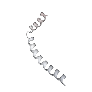 43327_8vkq_VB_v1-0
CW Flagellar Switch Complex - FliF, FliG, FliM, and FliN forming the C-ring from Salmonella