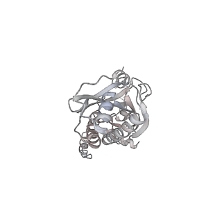 43327_8vkq_VC_v1-0
CW Flagellar Switch Complex - FliF, FliG, FliM, and FliN forming the C-ring from Salmonella