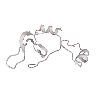 43327_8vkq_VD_v1-0
CW Flagellar Switch Complex - FliF, FliG, FliM, and FliN forming the C-ring from Salmonella