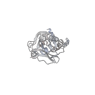 43327_8vkq_VF_v1-0
CW Flagellar Switch Complex - FliF, FliG, FliM, and FliN forming the C-ring from Salmonella