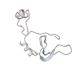 43327_8vkq_VG_v1-0
CW Flagellar Switch Complex - FliF, FliG, FliM, and FliN forming the C-ring from Salmonella