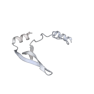 43327_8vkq_WA_v1-0
CW Flagellar Switch Complex - FliF, FliG, FliM, and FliN forming the C-ring from Salmonella