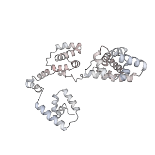 43327_8vkq_WB_v1-0
CW Flagellar Switch Complex - FliF, FliG, FliM, and FliN forming the C-ring from Salmonella