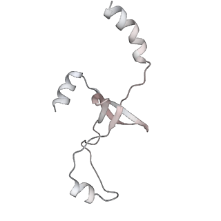 43327_8vkq_WC_v1-0
CW Flagellar Switch Complex - FliF, FliG, FliM, and FliN forming the C-ring from Salmonella