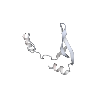 43327_8vkq_WD_v1-0
CW Flagellar Switch Complex - FliF, FliG, FliM, and FliN forming the C-ring from Salmonella