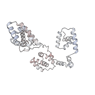 43327_8vkq_WE_v1-0
CW Flagellar Switch Complex - FliF, FliG, FliM, and FliN forming the C-ring from Salmonella