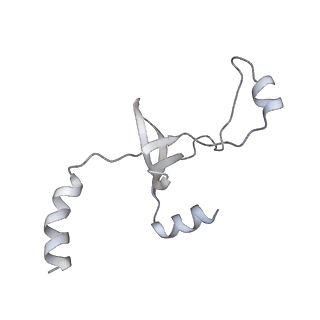 43327_8vkq_WF_v1-0
CW Flagellar Switch Complex - FliF, FliG, FliM, and FliN forming the C-ring from Salmonella