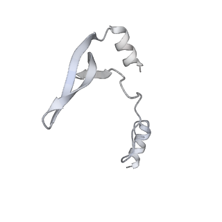 43327_8vkq_WG_v1-0
CW Flagellar Switch Complex - FliF, FliG, FliM, and FliN forming the C-ring from Salmonella