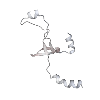 43327_8vkq_W_v1-0
CW Flagellar Switch Complex - FliF, FliG, FliM, and FliN forming the C-ring from Salmonella