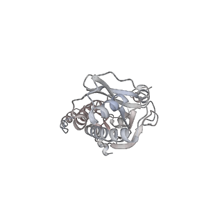 43327_8vkq_XB_v1-0
CW Flagellar Switch Complex - FliF, FliG, FliM, and FliN forming the C-ring from Salmonella