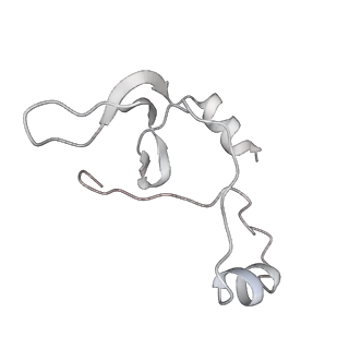 43327_8vkq_XC_v1-0
CW Flagellar Switch Complex - FliF, FliG, FliM, and FliN forming the C-ring from Salmonella