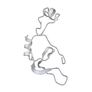 43327_8vkq_XF_v1-0
CW Flagellar Switch Complex - FliF, FliG, FliM, and FliN forming the C-ring from Salmonella