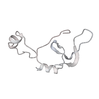 43327_8vkq_X_v1-0
CW Flagellar Switch Complex - FliF, FliG, FliM, and FliN forming the C-ring from Salmonella